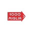Выгодно купить мотошины 1000 Miglia в Уфе