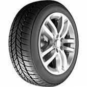RoadX RXFrost WH01 245/70 R16 107T